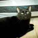 Photo of Missy