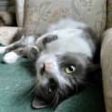 Photo of Princess