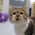 Photo of 🌸Hannah🌸 Fo2527