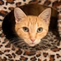 Photo of Keesha