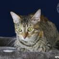 Photo of Leonie