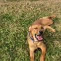 Photo of Flyn