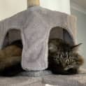 Photo of Narla