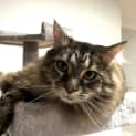 Photo of Narla
