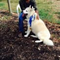 Photo of Axle