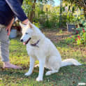 Photo of Opal 