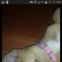 Photo of Tabatha