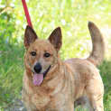 Photo of Dottie