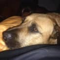 Photo of Sophie 