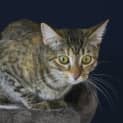 Photo of Leonie