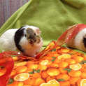 Photo of Xavier And Georgie