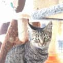 Photo of Marley