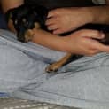 Photo of Roxy 