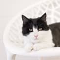 Photo of Simonette