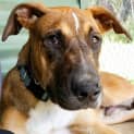 Photo of Rueben