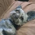 Photo of Reiley