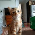 Photo of Winnie