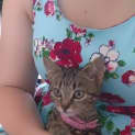 Photo of Skittles @ The Pet House, Tuggerah