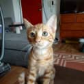 Photo of Winnie