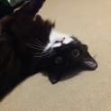 Photo of Tabitha