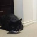 Photo of Tabitha