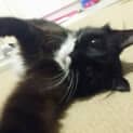 Photo of Tabitha
