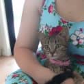 Photo of Skittles @ The Pet House, Tuggerah