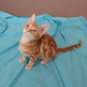 Photo of Colby