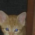 Photo of Meg
