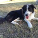 Photo of Sammy