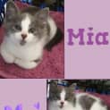 Photo of Mia