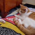 Photo of Trevor
