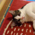 Photo of Trevor