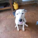 Photo of Roxy