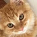 Photo of Charlie