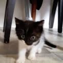 Photo of Cash