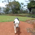 Photo of Roxy