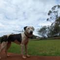 Photo of Roxy
