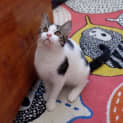 Photo of Trevor
