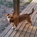 Photo of Bebe