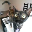 Photo of Narla