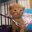 Photo of Kristy