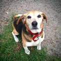 Photo of Squirt