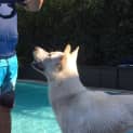 Photo of Jake