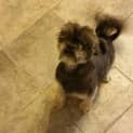 Photo of Milly