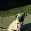 Photo of Doug 