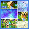 Photo of Rusty