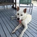 Photo of Jake
