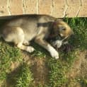 Photo of Zara