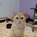 Photo of Keesha